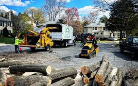 Best Tree Health Inspection  in Groveville, NJ